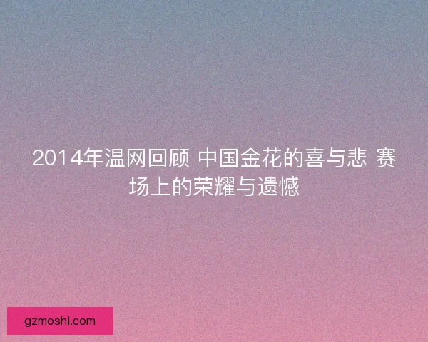 2014年温网回顾 中国金花的喜与悲 赛场上的荣耀与遗憾
