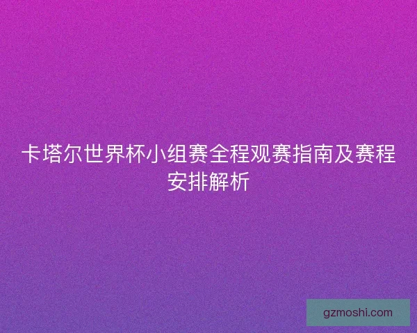 卡塔尔世界杯小组赛全程观赛指南及赛程安排解析