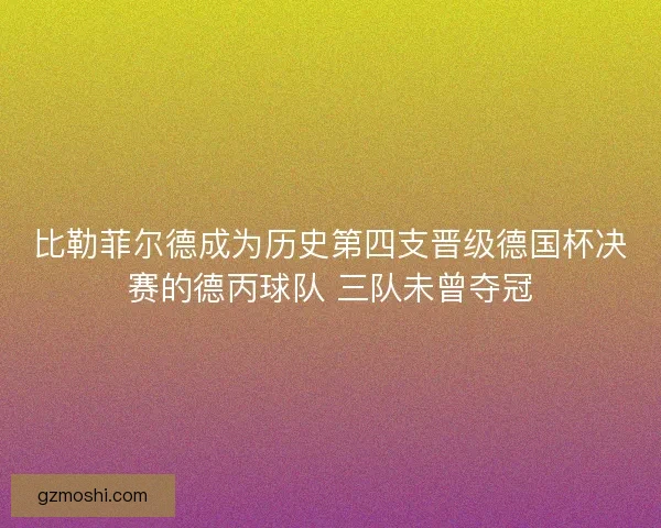 比勒菲尔德成为历史第四支晋级德国杯决赛的德丙球队 三队未曾夺冠
