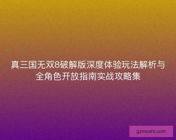 真三国无双8破解版深度体验玩法解析与全角色开放指南实战攻略集